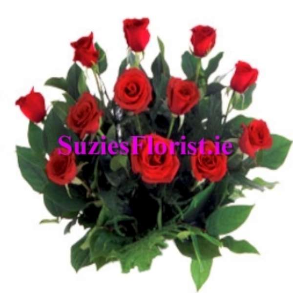 12 Long Stemmed Roses 12 Long Stemmed Roses